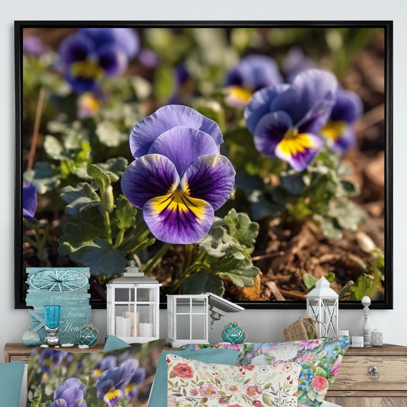«Purple Yellow Pansies Harmony I» sur toile, H 16 po x l 32 po x P 1 po, Cadre flottant noir