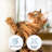 PETMAKER Cat Hammock with Scratching Posts-126451600