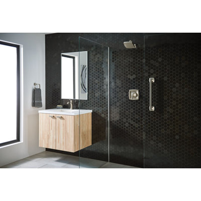 Moen Voss Stainless Steel Transitional Bathroom Grab Bar