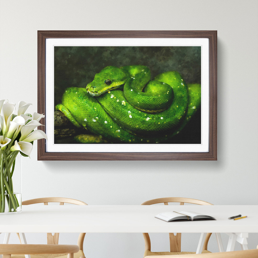 Green Python Snake - Framed Print