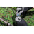 Smart LED Landscape Light, Dimmable Low Voltage Pathway Light, Waterproof, White & RGB