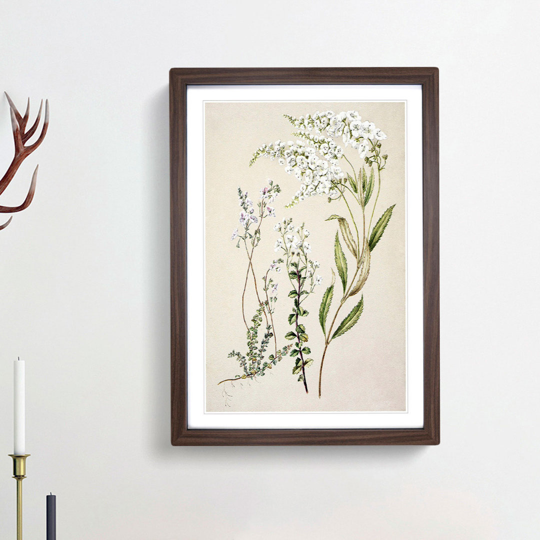 Veronica Flowers by Sarah Featon - Picture Frame Painting Print
