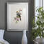 «Spring Song Goldfinch» - peinture encadrée-706629355-706629353