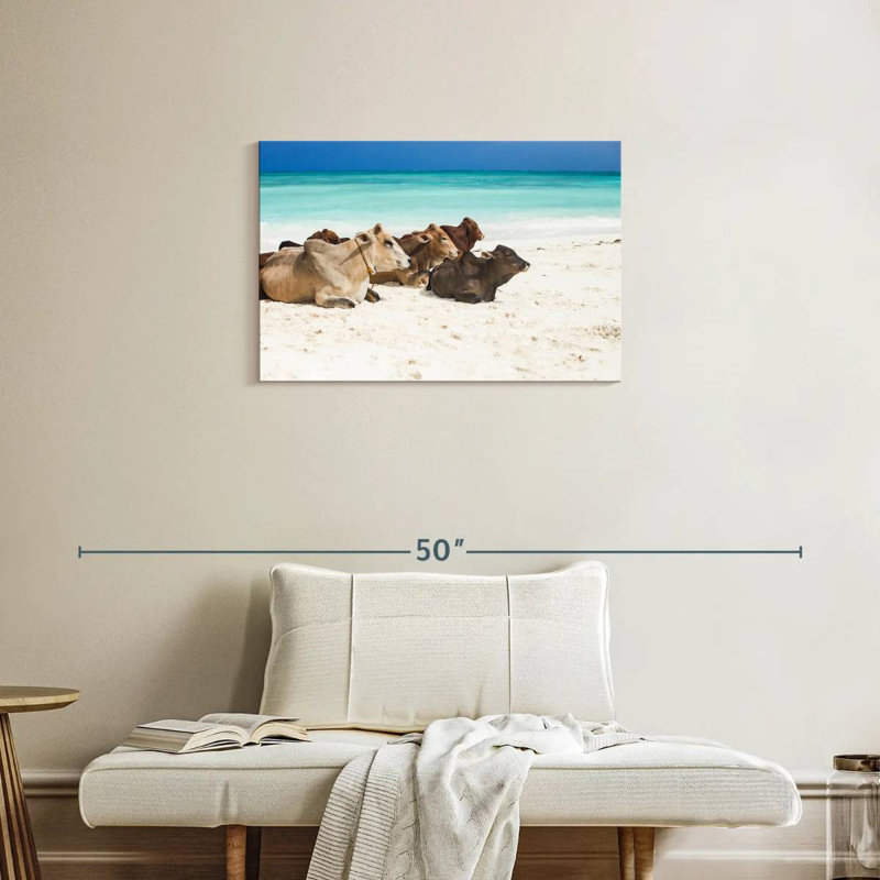 Crowle Zanzibar Beach Bétail, H 20 po x l 30 po