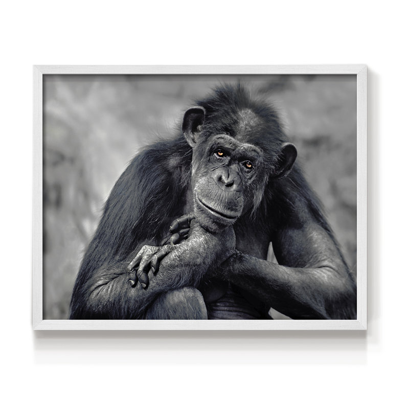 Captivated -Framed Print - Restickable, 11" H x 14" W, White