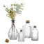 Glass Decorative Bottle-1422089259