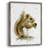 Harvest Squirrel Framed Print - Solid Wood-672776980