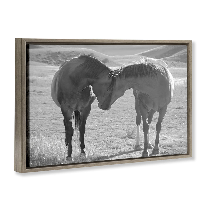 Cadre flottant Sweet Nothings Bond entre les chevaux, design par Steve Toole, H 21 po x l 31 po