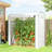Mini Greenhouse, Portable Greenhouse with Roll-Up Door and 2 Mesh Windows, Small Green House with PE Cover for Garden Patio Lawn, 78.7" x 29.5" x 74", White-123764063