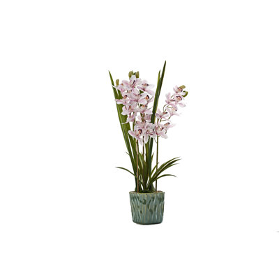 Orchidées roses dans un pot en céramique