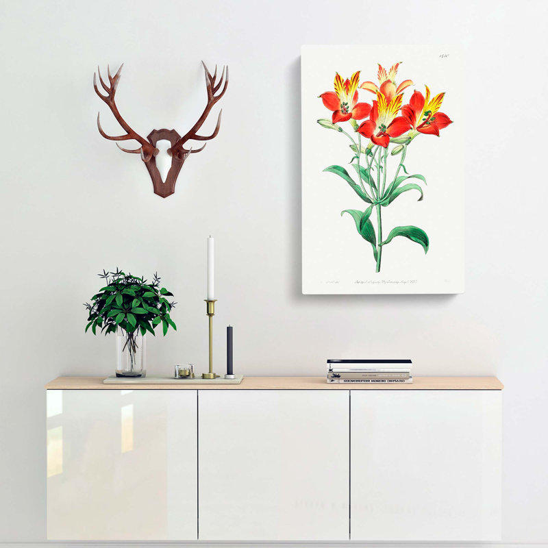 Peruvian Lily Flowers - Wrapped Canvas Print, 60cm H x 40cm W x 3cm D