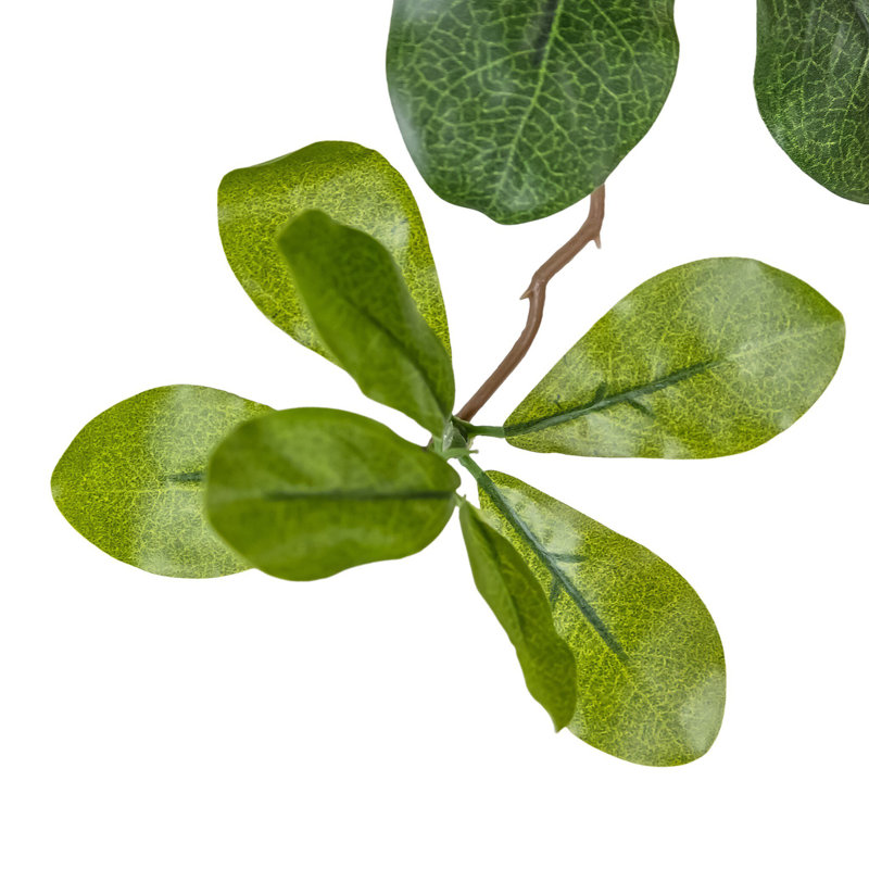 Faux Aralia Tree-Faux Aralia Tree-8'