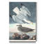 «Pl 291 Herring Gull», reproduction sur toile tendue-1666105768