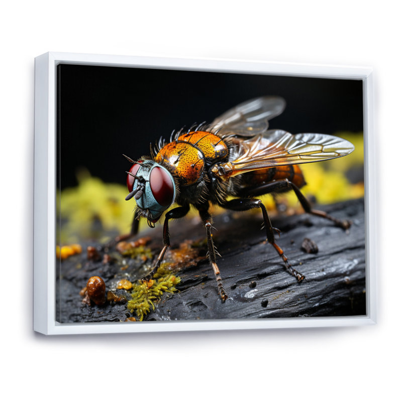 Insectes, insectes, portrait, superbe, H 16 po x l 32 po x P 1 po, Cadre flottant blanc