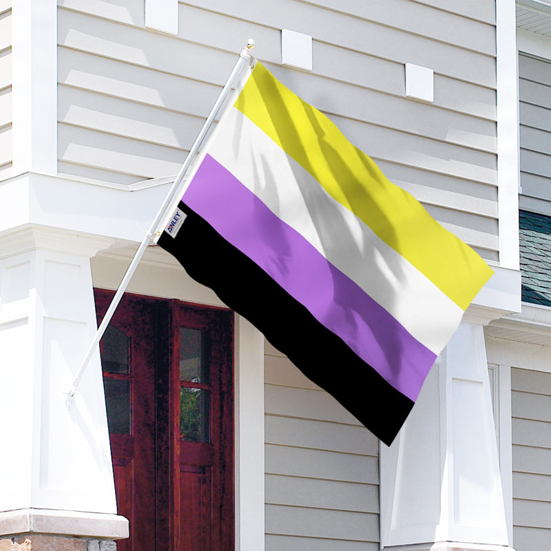 Drapeau de maison non-binaire en polyester 36 x 60 po