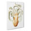 A Velodona Octopus by Carl Chun - Wrapped Canvas-55368120