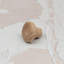 30mm Beech Wood Button Knob