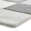 Brooklyn area rug Machine Woven Rectangle Beige/Green-24398547