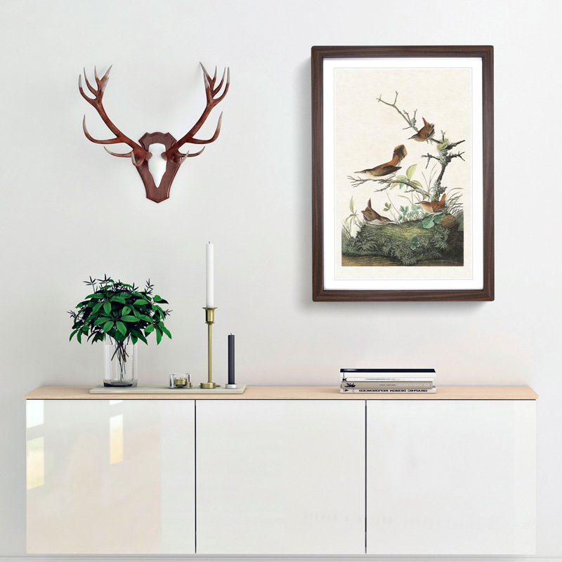 Wrens by John James Audubon - Picture Frame Painting Print, 36cm H x 27cm W x 2cm D, Walnut Framed
