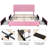 Huntsville 4-Drawer Velvet Upholstered Platform Bed-242197127-245840173