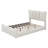 Bionca Upholstered Panel Bed-1245615908