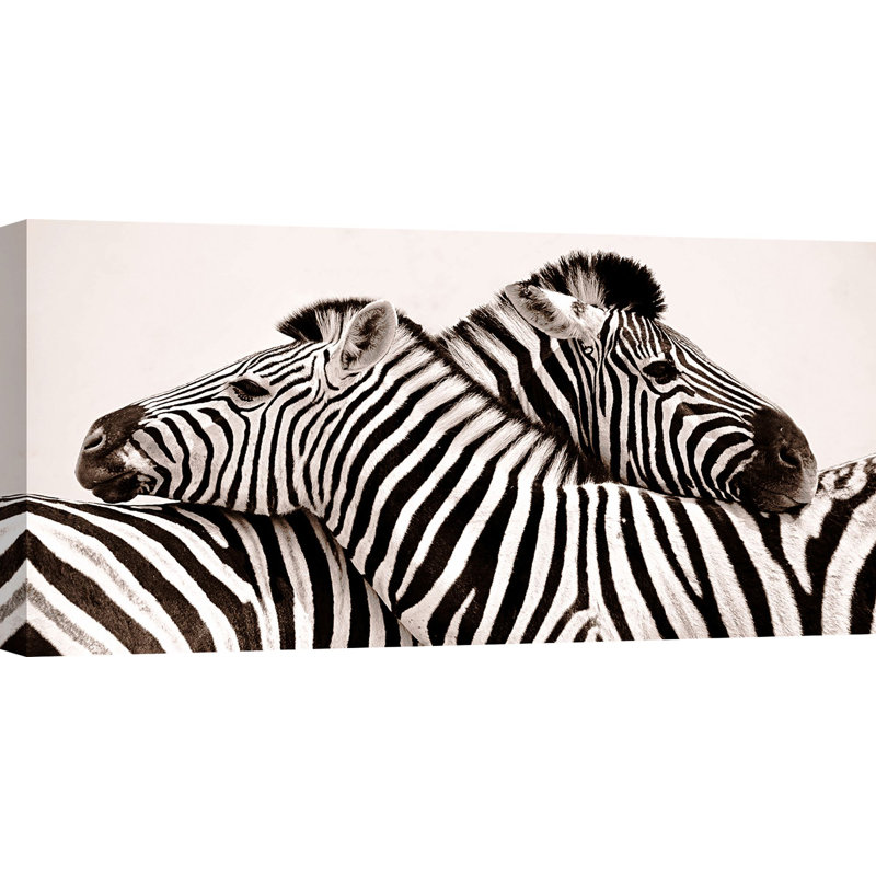Zebras In Love - Wrapped Canvas Print, 35cm H x 70cm W