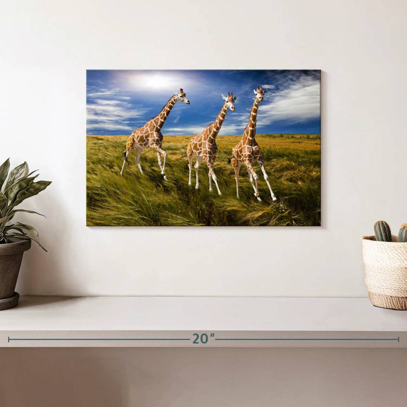 Trois girafes en course, H 8 po x l 12 po