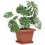 Plant Stand-1301699630-1301699624