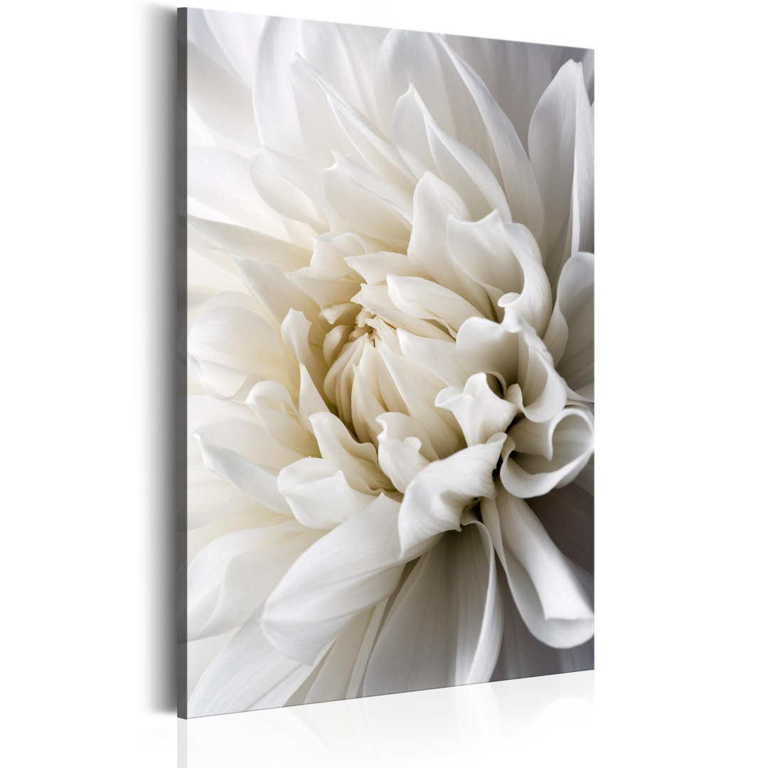 White Dahlia Art Print on Canvas