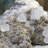 Quartz on Mica