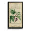 Linnaean Botany VI - Peinture sur toile encadrée-545916261-545916281
