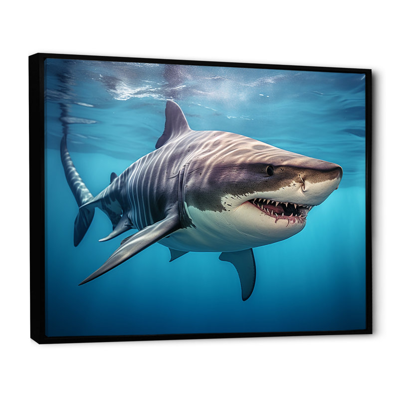 Tiger Shark Territory III - Shark Framed Wall Art, 16" H x 32" W x 1" D, Black Floater Framed