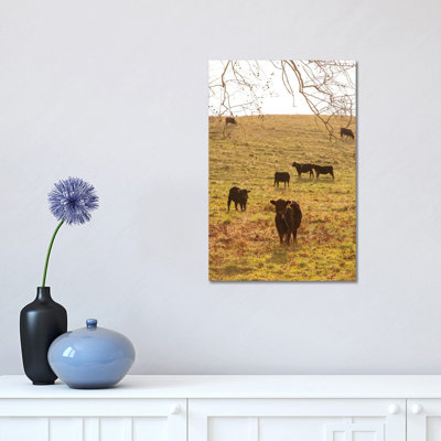 Fall Field II by Aledanda - Print on Canvas