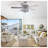 Adelyte Ceiling Fan with Light Kit