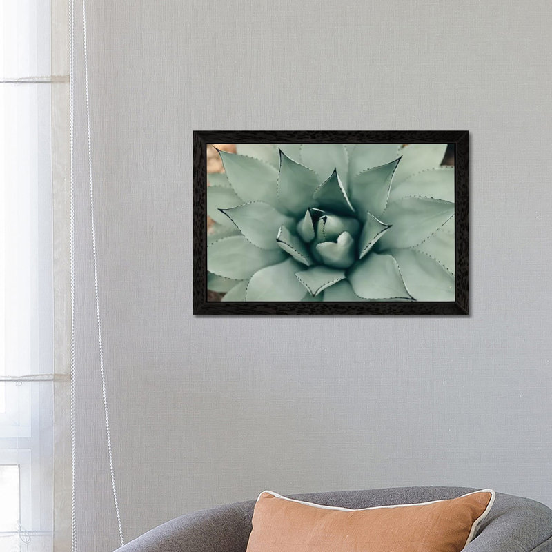 Mint Succulent I by Chelsea Victoria - Print, 101.6 cm H x 66.04 cm W x 1.91 cm D, Black Framed