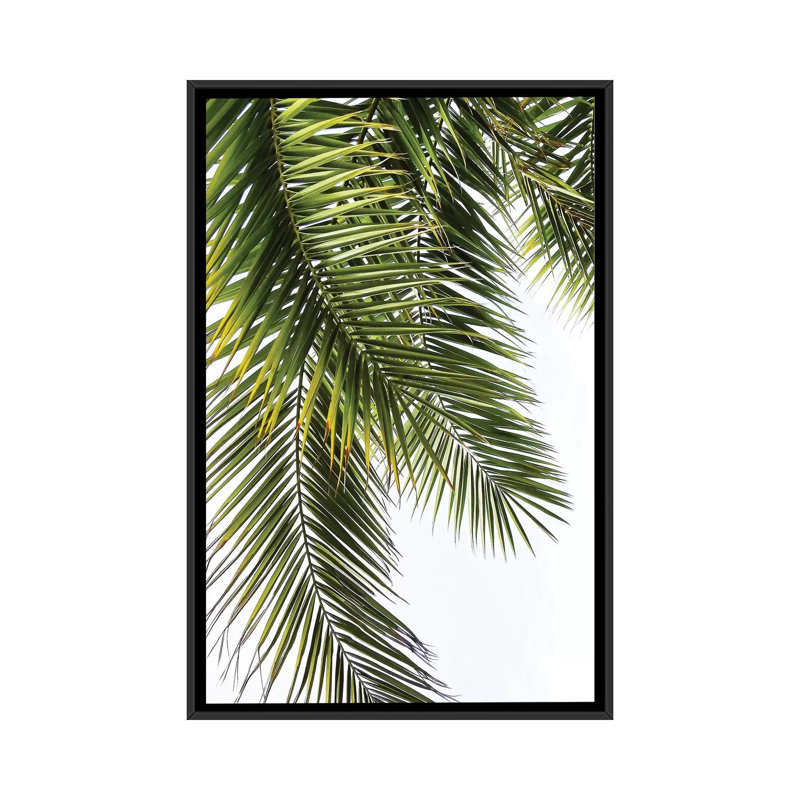 «Palm Leaves», impression sur toile, H 26 po x l 18 po x P 1,5 po, Toile encadrée noire