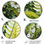 Nance - Art floral rond en métal-109733483