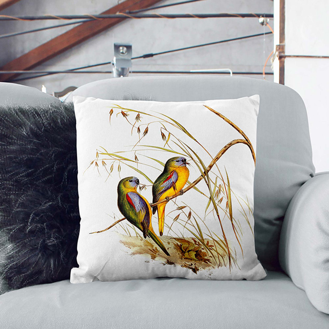 Grass-Parakeets by Elizabeth Gould Cushion with Filling