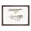 Illustration of Tern Birds by John Edward Gray - Picture Frame Painting Print-55579728-55579729