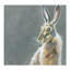 Herbert by Louise Brown - Square Painting