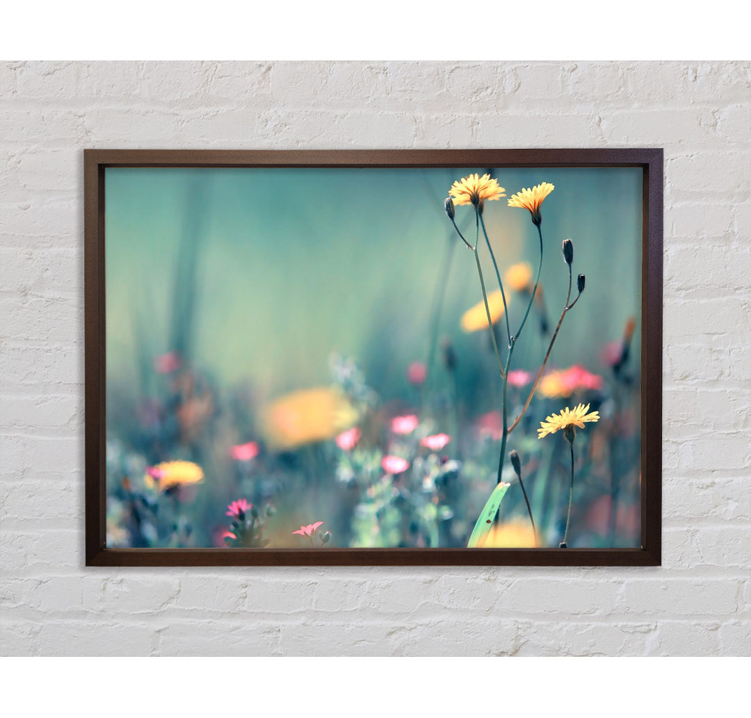 Dandelion Garden - Einzelner Bilderrahmen Kunstdrucke auf Leinwand