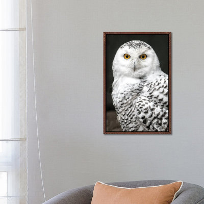Snowey 1 Piece Wall Art on Canvas