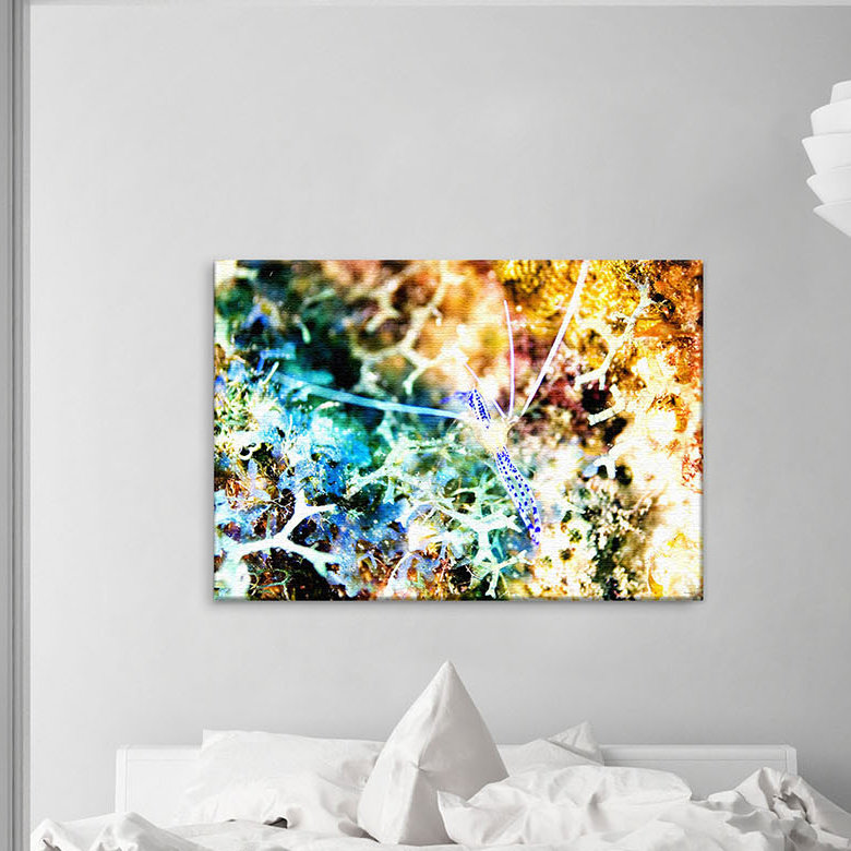 Print on Canvas, 100cm H x 150cm W x 2cm D