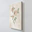 "Blush Rose Botanical I" par Natalie Carpentieri, reproduction sur toile-220940990