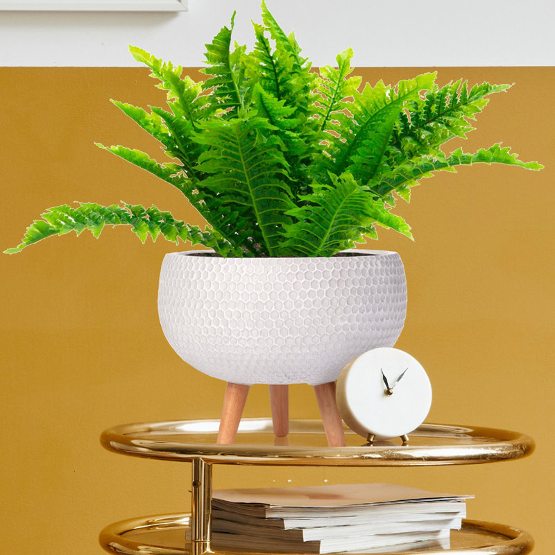 Concrete Effect Bowl Planter on Hardwood Legs, Round Indoor Plant Pot Stand for Indoor Plants, Shallow Planter with Honeycomb Pattern