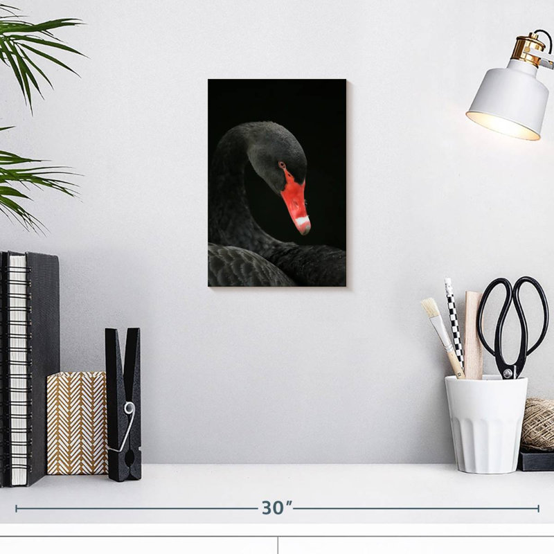 Brampt Black Swan Head, 12" H x 8" W
