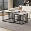 Damecia Coffee Table