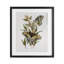 «Butterfly Grove Green Grass», reproduction encadrée sous verre, conception de House Fenway-1214515662-1214515664