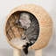 Stoneham 100cm H Cat Tree