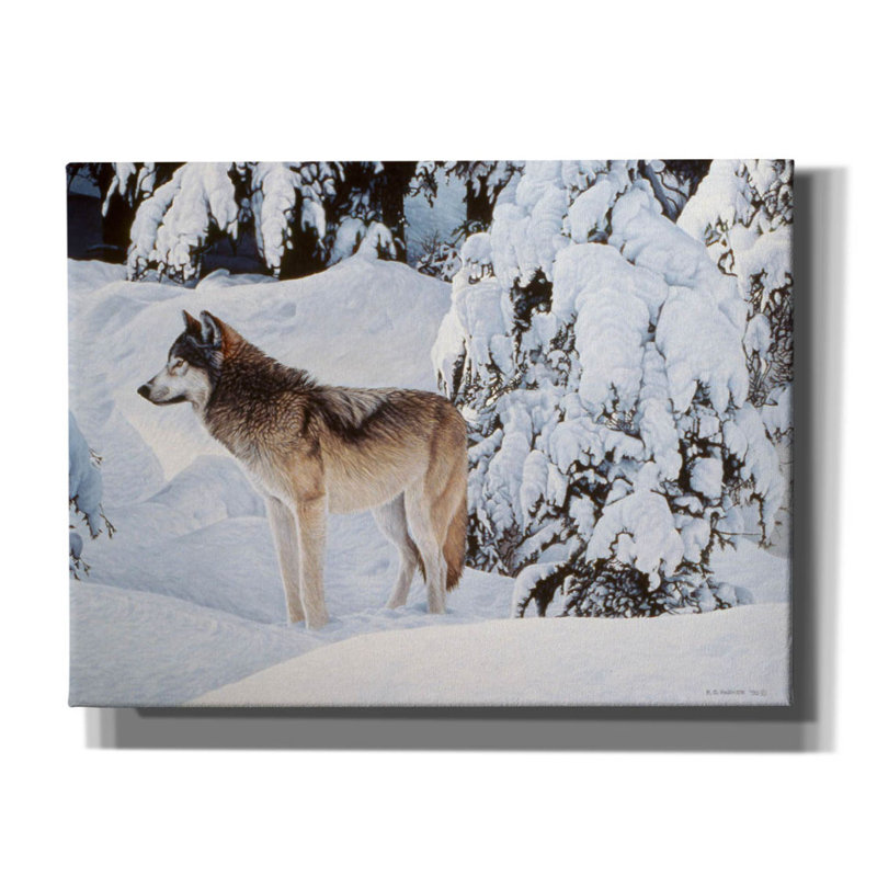 «Winter's Couverture sur toile» par Ron Parker, H 12 po x l 16 po x P 0,75 po
